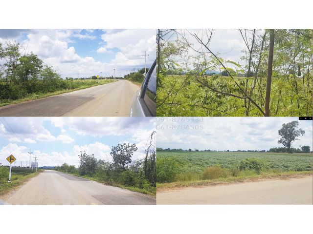 ขายที่ดิน ลพบุรี 2ไร่ ติดถนนลาดยาง วิวภูเขาสวย เหมาะปลูกบ้าน ทำเกษตร ขายที่ดินราคาถูก