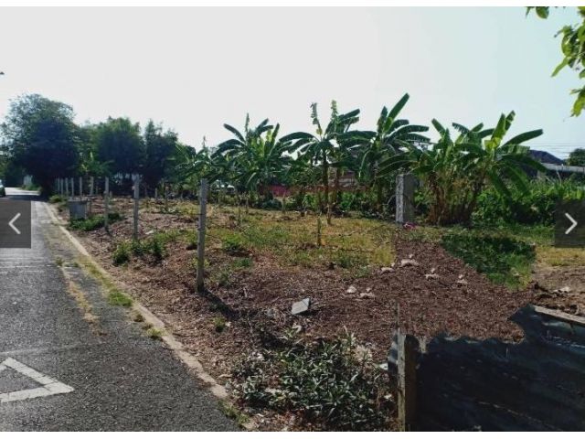 PJL483 ขายที่ดินถมแล้ว พุทธมณฑลสาย1  เนื้อที่169 ตรว. 10.985ล้าน