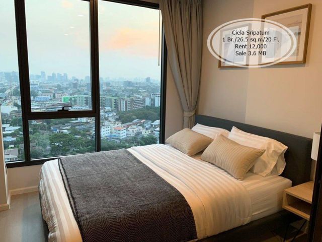 เช่า&ขาย - Ciela Sripatum /1 นอน / 26.5 ตร.ม. /ชั้น  20 ติด BTS ศรีปทุม เช่า 12,000/ขาย 3.6 ล้าน
