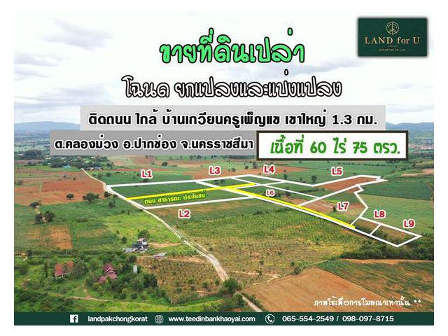 ขายที่ดินติดถนนมองเห็นวิวเขา!! #ขายที่ดินยกแปลงและแบ่งแปลงเขาใหญ่ปากช่อง-บ้านคลองม่วง