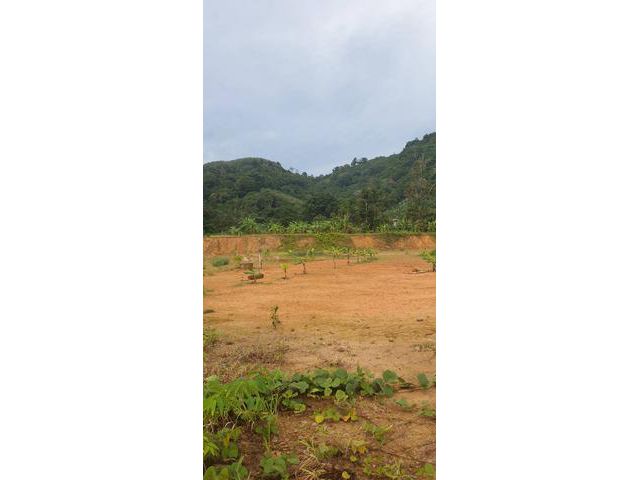 ขายที่ดินบ้านพอน บางขาม ศรีสุนทร  ภูเก็ต