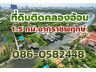 ที่ดินริมน้ำ ราชพฤกษ์-รัตนาธิเบศร์