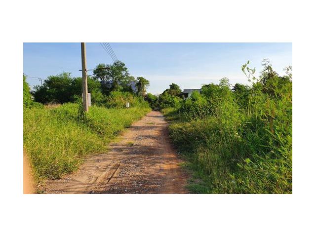 ขาย ที่ดิน 186 ตร.ว. ถมแล้ว บางกระดี่ 1 ราคาพร้อมโอน