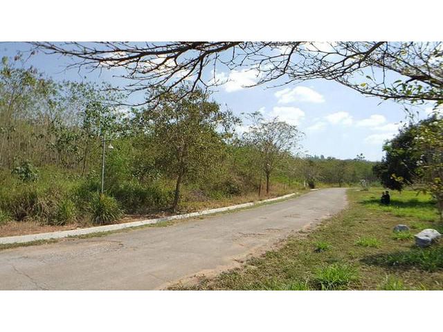 ขายที่ดินเขาใหญ่ อ.ปากช่อง ติด เคนซิงตัน เขาใหญ่