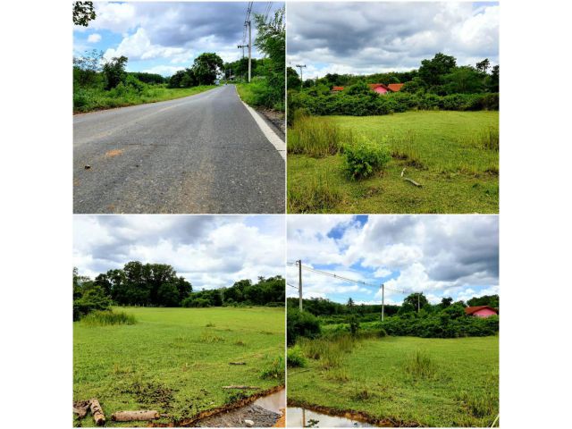 ขายที่ดินนาหม่อมติดถนนดำ