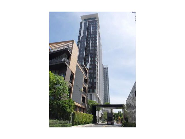 คอนโดมิเนียม เดอะ โฮเทล 33 ตารางเมตร นนทบุรี