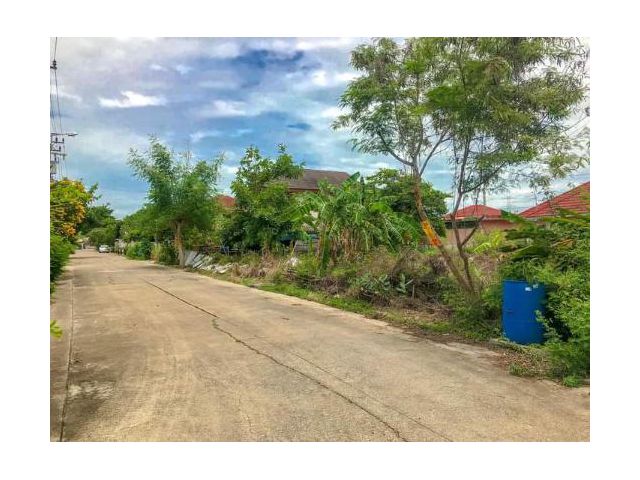 ขายที่ดิน 166 ตรว. ติดถนนคอนกรีต หมู่บ้านอริสราเพลส์ 5 ซ.3 ต.คลองข่อย อ.ปากเกร็ด จ.นนทบุรี