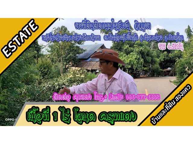 ที่ดินติดถนนดำ ในหมู่บ้าน วิวภูเขา เนื้อที่1 ไร่ ม.8 ต.บ้านน้อยซุ้มขี้เหล็ก อ.เนินมะปราง จ.พิษณุโลก