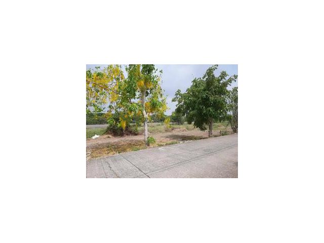 ที่ดินเปล่า 50  ตารางวา  ถนนรังสิต นครยายก คลอง 7