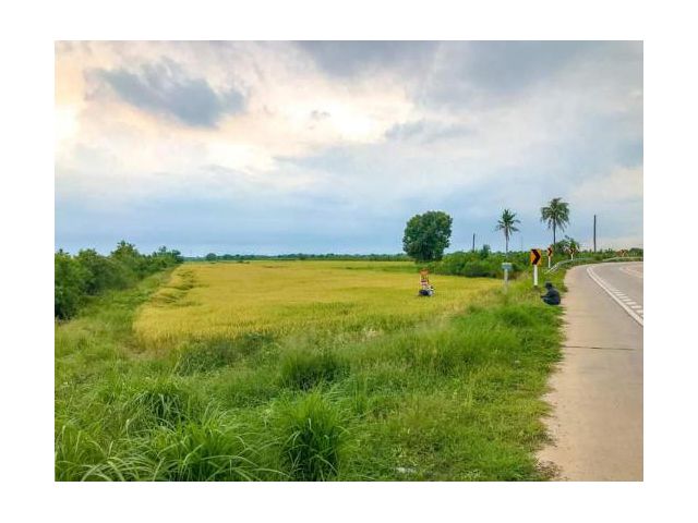 ขายที่ดินทำเลดีราคาถุก 5 ไร่ ติดถนน นบ.3017 เหมาะทำธุระกิจมากๆ ต.ขุนศรี อ.ไทรน้อย จ.นนทบุรี