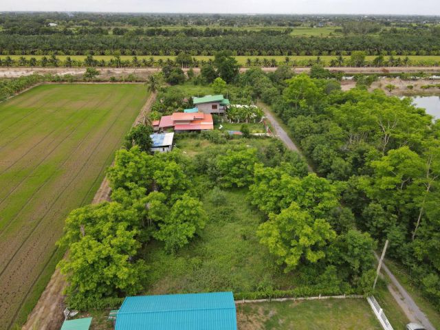 ขายที่ดินหนองเสือ 128 ตรว. คลอง 9 ยกแปลง 500,000 บาท จ.ปทุมธานี