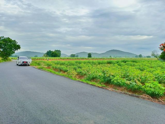 ขายที่วิวเขาสวยโอบล้อม ทำเลดีอุดมสมบูรณ์เหมาะสร้างบ้านสวนผสมผสาน ทำโคกหนองนา มีน้ำไฟพร้อม/ครุฑแดง
