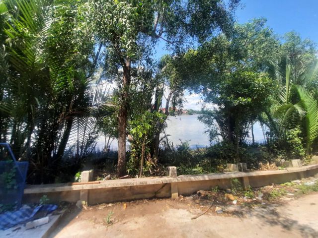 ขายที่ดินติดแม่น้ำบางปะกง 5 ไร่ ติดถนนลาดยาง ใกล้ถนนเส้น 304 เพียง 600 เมตร จ.ฉะเชิงเทรา