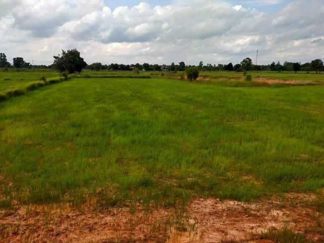 ที่ดินทำบ้านสวน ทำเกษตร ไฟฟ้า น้ำเข้าถึง เขตศรีเทพ จ.เพชรบูรณ์