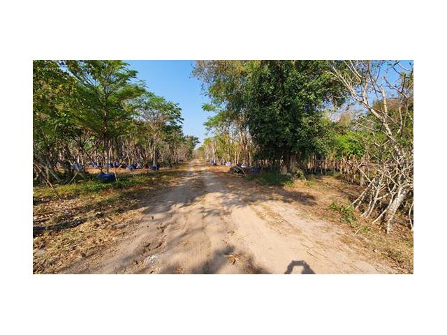 ขาย ที่ดิน ถมแล้ว 301 ไร่ กว้าง 278 เมตร ติดถนนทั้ง 2 ด้าน บ้านนา-แก่งคอย