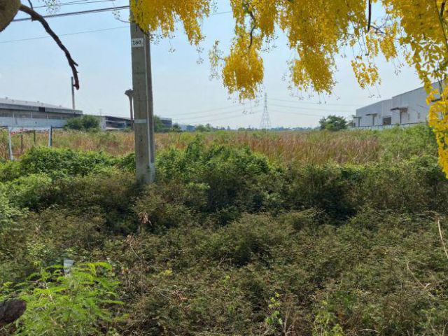 ขายที่ดิน อ.ไทรน้อย จ.นนทบุรี แปลงใหญ่ ทำเลดี ราคาถูก