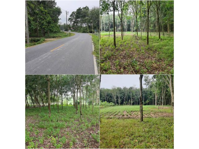 ขายที่ดินตำบลน้ำน้อยท่านางหอม ติดถนนดำ