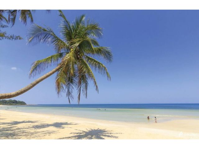ขายที่ดินพร้อมบ้านสวนใกล้ทะเล หาดทุ่งวัวแล่น อ.ปะทิว ชุมพร เนื้อที่ 202 ตร.ว เหมาะสำหรับบ้านพักหลังเกษียร(เจ้าของขายถูกม