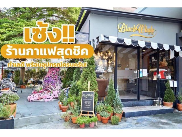 เซ้งร้านกาแฟ บางแสน หลังห้างแหลมทอง @ชลบุรี