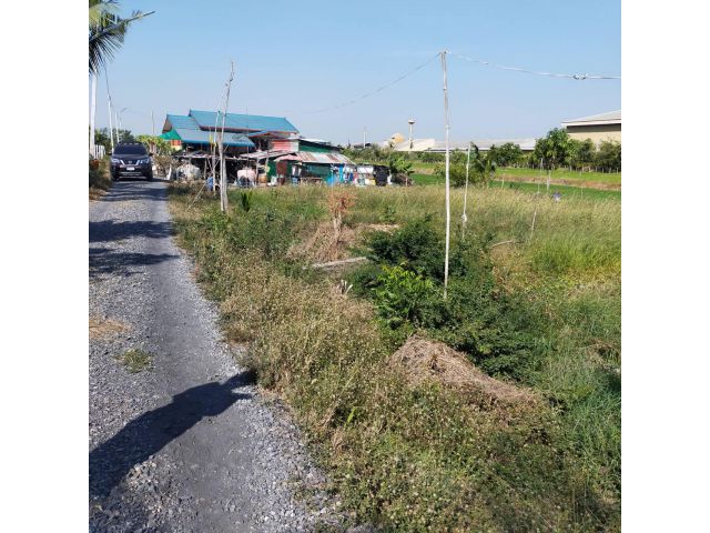 ที่ดินเปล่า ปทุมธานี ลาดหลุมแก้ว 2 งาน
