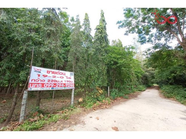 ขายที่ดินพร้อมสิ่งปลูกสร้าง 19ไร่ 2งาน ถนนทางหลวงชนบท หัวรอ-หุบพังพาย 4036 โพธาราม ราชบุรี