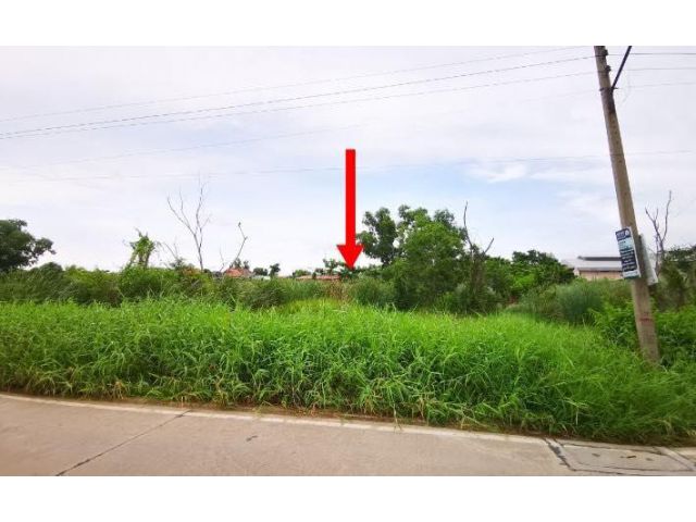 ขายที่ดินซอยบงกช47 เลียบคลองสอง ( รหัสทรัพย์ 202178 ) ต.คลองหลวง อ.คลองหลวง จ.ปทุมธานี ขนาด 380 ตรว