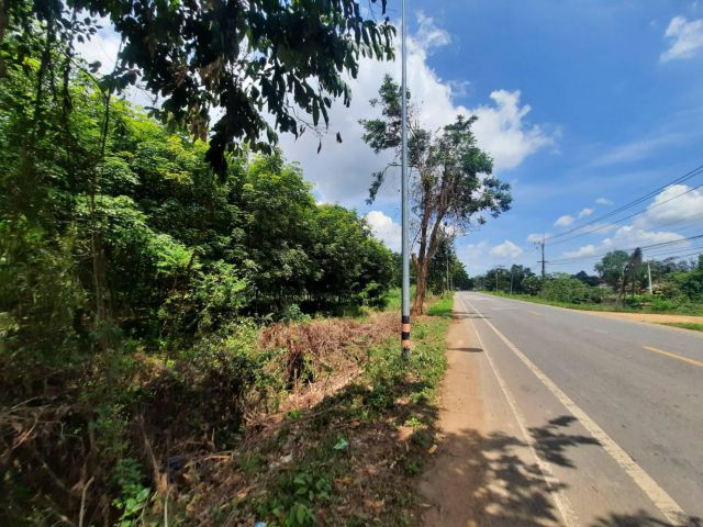 ขายที่ดิน 3 ไร่ ติดถนนเส้น 3003 ใกล้เทศบาลสนามชัยเขตเพียง 300 เมตร จ.ฉะเชิงเทรา