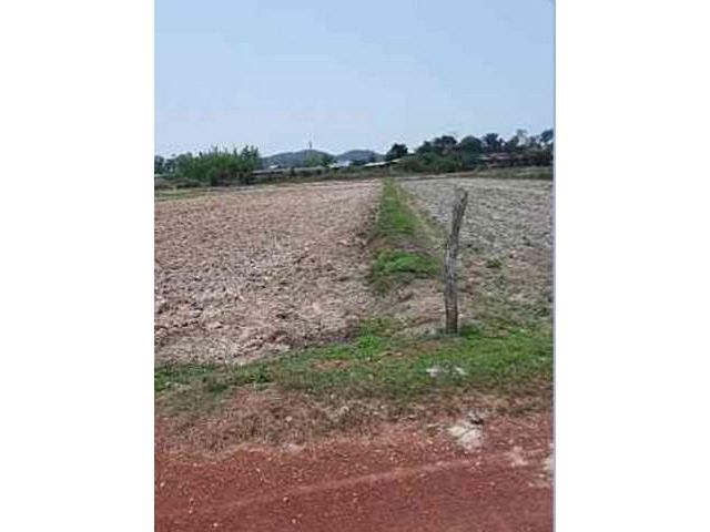 ที่ดิน 2-1-2.9 ไร่ อ.เวียงชัย จ.เชียงราย