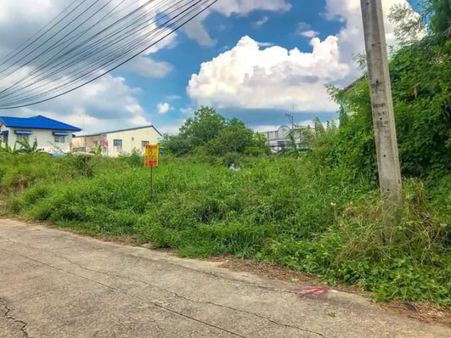 ขายที่ดิน 75 ตรว.ถมแล้ว ต.คลองสอง อ.คลองสอง จ.ปทุมธานี