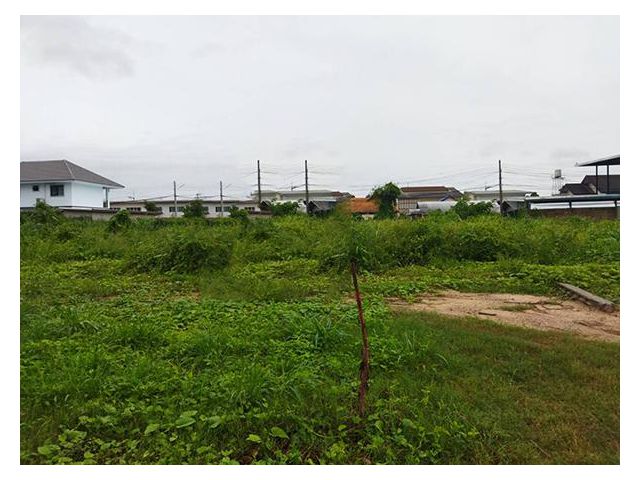 B6MG0043 ขายที่ดิน พร้อมเอกสารสิทธิ์ โฉนด ที่ดินทำเลสวย ที่ดินมีขนาด 310.9 ตรว.