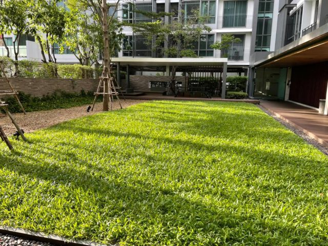 ขายถูกสุด Blocs77 1ห้องนอน 40sq.m ห้องสวย กว้างน่าอยู่ วิวสวยมาก ลดราคาลงสุดๆ ราคาต่ำกว่าตลาดมาก 087-9074045