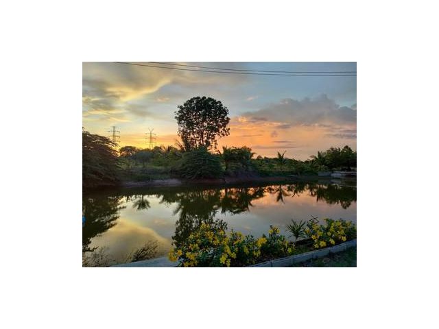 ขายที่ดินหนองขาว ท่ามวง กาญจนบุรี