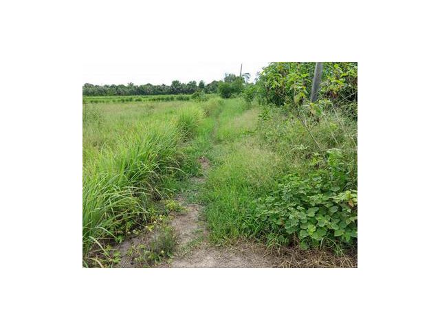 ที่ดินเปล่า ทำเลดี 3 ไร่ ฉะเชิงเทรา