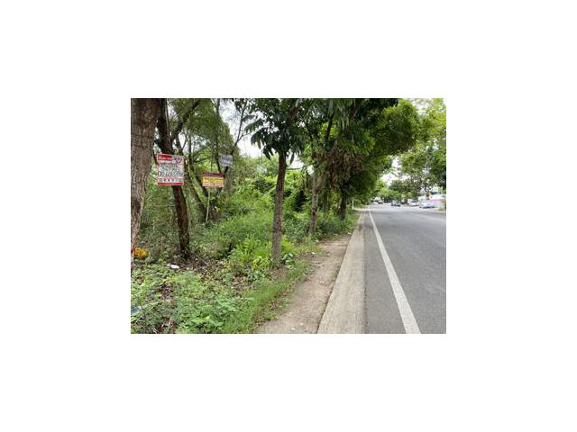 ที่ดิน 347 ตารางวา ซอยสุขาภิบาล บางระมาด 7-9