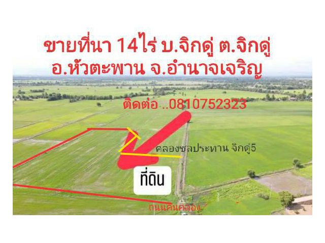 ขายที่นางามๆๆๆๆ บ.จิกดู่ ต.จิกดู่ ราคา หลักหมื่น  เนื้อที่ 14 ไร่ ติดคลองชลประทาน