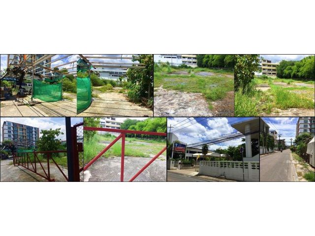 ขายที่ดินเนื้อที่ 2 ไร่ อ่อนนุช 24 ใกล้ BTS สถานีบางจาก