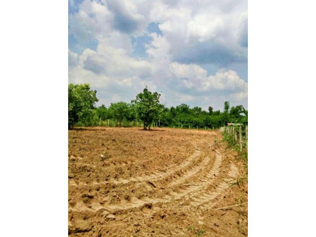 ที่ดินบ้านดงแสนสุข/อุบลฯ