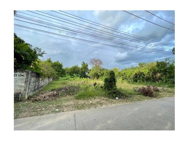 #ที่ดินเปล่าห่างวงแหวนรอบสองเพียง300เมตร ทำเลดี ปรับถมเรียบร้อย เมืองเชียงใหม่