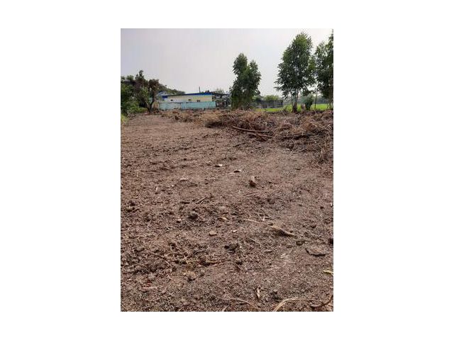 ที่ดินเปล่า 1 ไร่  64  ตารางวา  ปทุมธานี