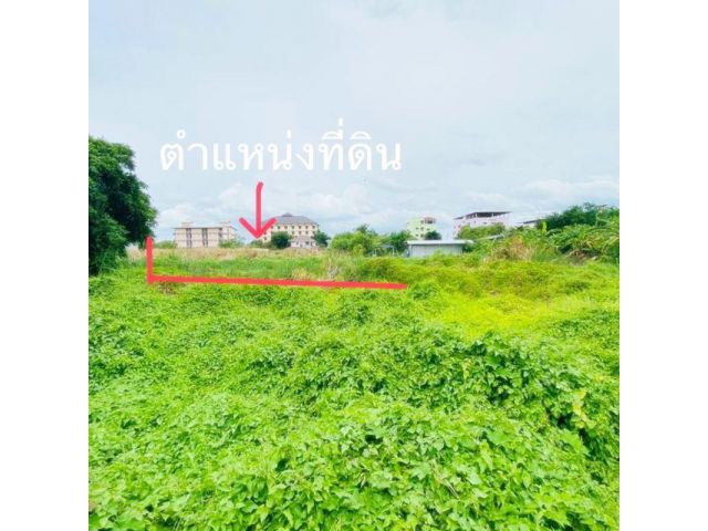 ขาย ที่ดิน 92 ตารางวา ซอย กระทุ่มล้ม 28