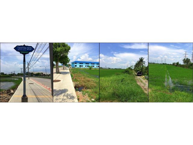 ขายที่ดิน  11 ไร่ ติดถนนไมตรีจิต สามวาตะวันออก เขตคลองสามวา