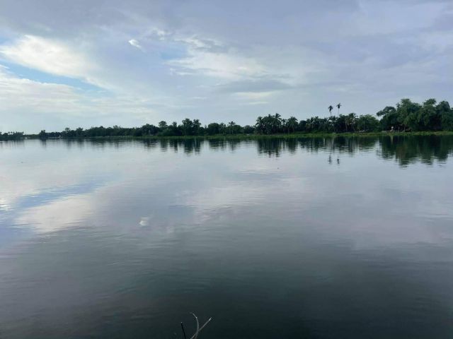 ขายที่ติดแม่น้ำท่าจีน อ.กระทุ่มแบน สมุทรสาคร เนื้อที่ 296 ตร.ว ที่สวยมาก วิวโค้งแม่น้ำ เหมาะปลูกบ้านพักริมน้ำ มีเพียง 3