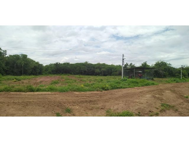 ขายที่ดินเขตตัวเมืองเพชรบูรณ์ 10 ไร่