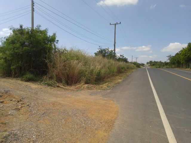 ขายที่ดิน 26 ไร่ ตำบลวังน้ำเขียว อำเภอวังน้ำเขียว จังหวัดนครราชสีมา