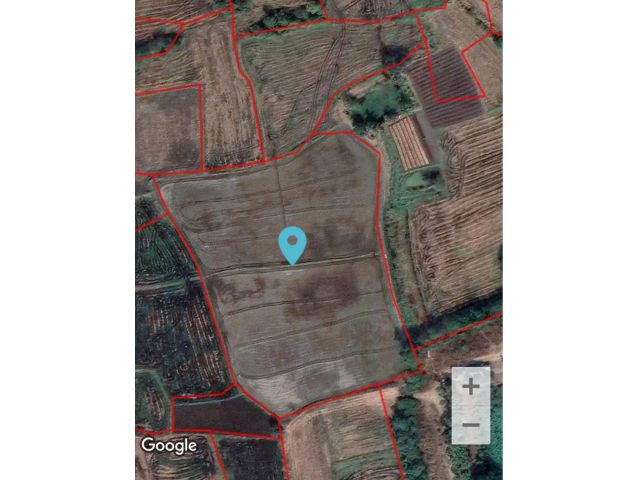 ขายที่ดิน 12-0-20 ไร่ ตำบลบ้านโพธิ์ อำเภอเมือง จังวัดนครราชสีมา