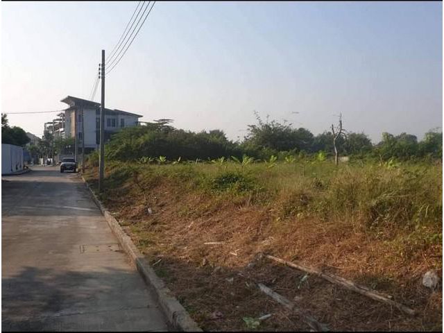 ขายที่ดินบรมราชชนนี ปิ่นเกล้า