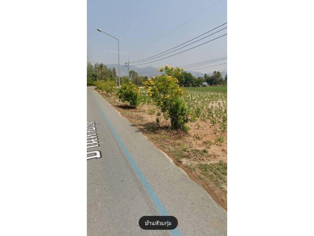ขายด่วนที่วิวภูเขาบางพระ ที่ 3ไร่35ตรว.ไร่ละ 3.5 ล้าน ต.บางพระ อ.ศรีราชา จ.ชลบุรี