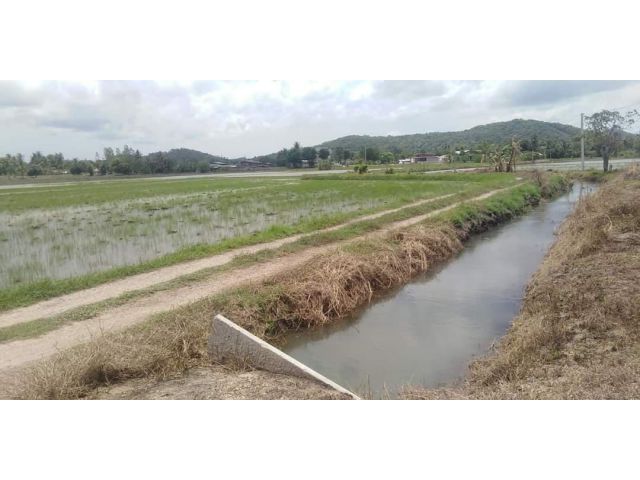 ขายที่นาบรรยากาศดีมากๆ เขาขลุงบ้านโป่งราชบุรี
