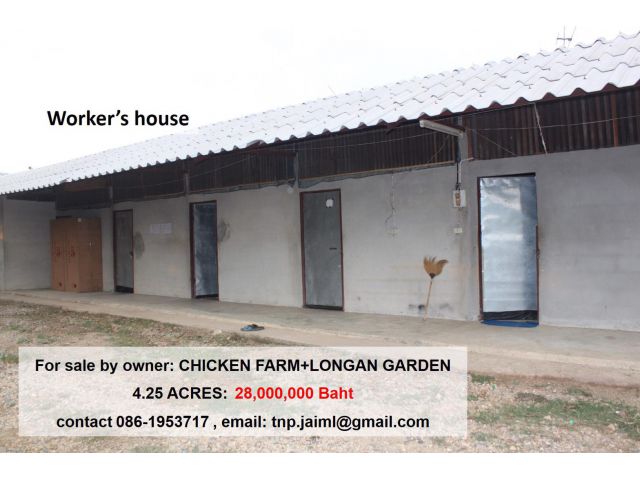 POULTRY (CHICKEN) FARM FOR SALE by owner