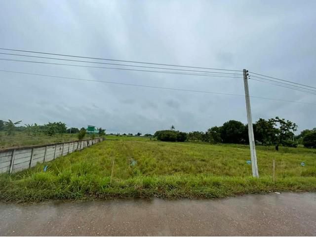 ขายที่ดินใกล้ริมโขง 2 ไร่ ไร่ละ 1 ล้าน อ.โพนพิสัย